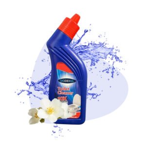 Toilet Cleaner